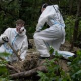Kijevska policija: Pronađeno sedam tela u jami blizu Buče 5
