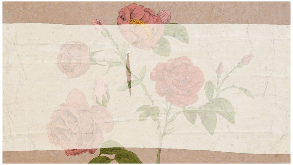 Seks i žene: Kako pogrešno shvatamo himen 2 Illustration of roses with muslin over them