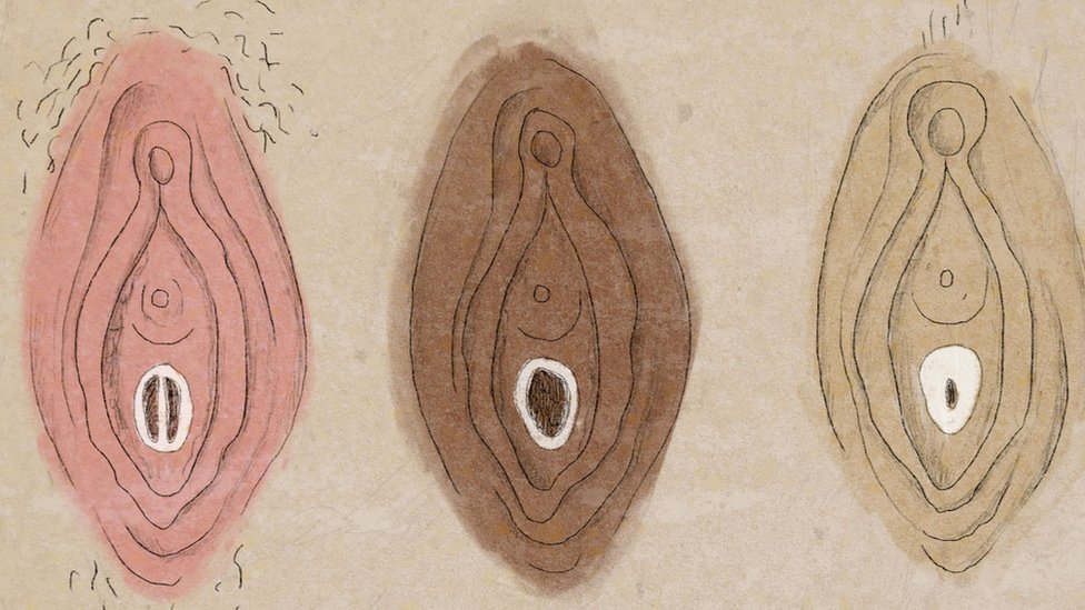 Seks i žene: Kako pogrešno shvatamo himen 1 Illustration of vaginas