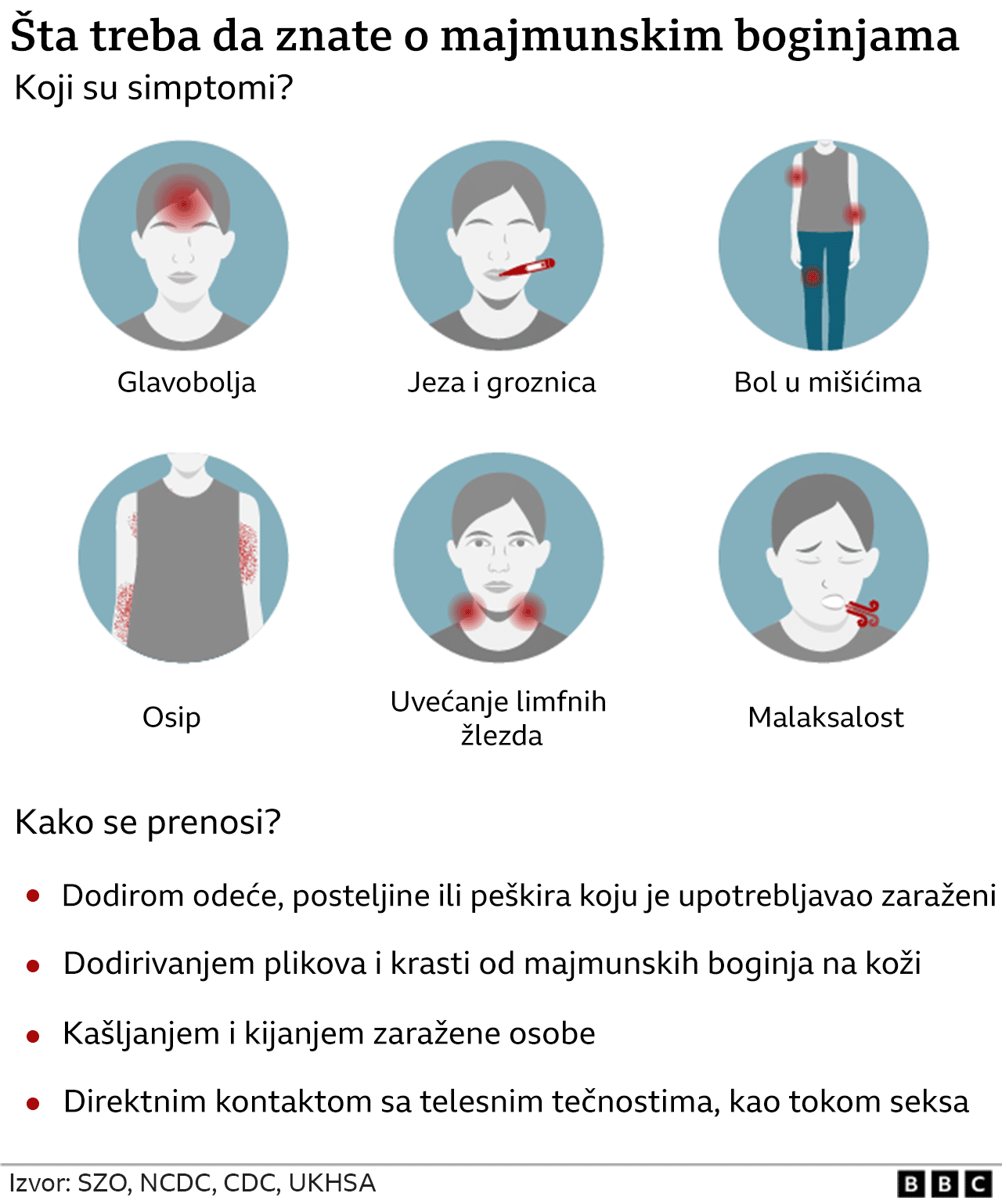 Majmunske boginje i Srbija: Ima li razloga za brigu i ko je zaštićen 2 grafika