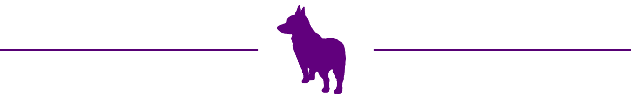 A graphic of a corgi