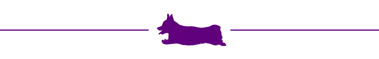 A graphic of a corgi