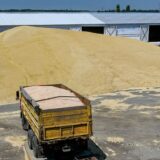 Ukrajina, Rusija i hrana: Rusija optužena da izvozi ukrajinsko žito iz Ukrajine, Moskva negira 6