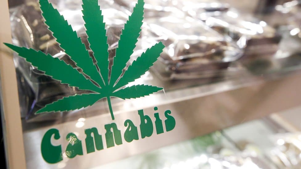 Crna Gora, droga i medicina: „Dekriminalizacija kanabisa može pospešiti evropske integracije” 1 kannabis