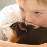 Životinje i mentalno zdravlje: Kako kućni ljubimci podstiču razvoj mozga tokom odrastanja dece 5