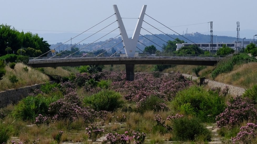 Image shows bridge