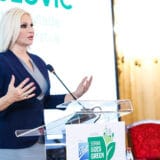 Mihajlović: Poseta ruskog zvaničnika ništa dobro ne bi donela, Rusija ugrozila teritorijalni integritet Ukrajine 12