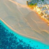 Najveća biljka na svetu otkrivena kod obale Australije 12