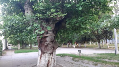 20220522_193217 Dudara, dudar i još neke zanimljivosti iz prošlosti 4