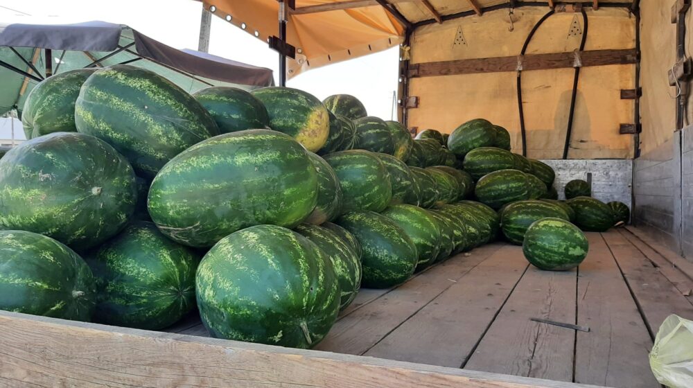 Veletržnica Beograd: Lubenica na prvom mestu po obimu trgovanja prošle nedelje 1