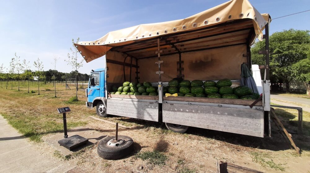 Zrenjaninci vole da kupuju bostan na ulici, s kamiona i iz prikolica 1