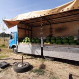 Zrenjaninci vole da kupuju bostan na ulici, s kamiona i iz prikolica 2