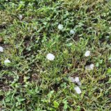 Nevreme u okolini Nove Varoši, padao i grad veličine oraha, RHMZ upozorio večeras i noćas pljuskovi, grmljavina, jak olujni vetar 5