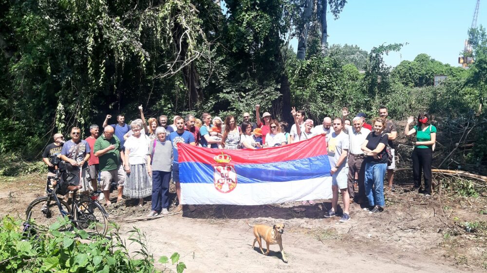 "Hoće da poseku retko drveće koje se svuda na planeti čuva": Novosađani od noćas blokirali Šodroš 1