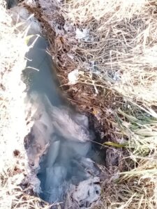 "Gradonačelnici se menjaju, fekalije ostaju": Kanal između Adica i Telepa ekološka bomba u Novom Sadu 2