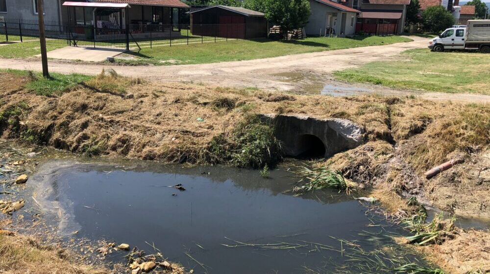 "Gradonačelnici se menjaju, fekalije ostaju": Kanal između Adica i Telepa ekološka bomba u Novom Sadu 1