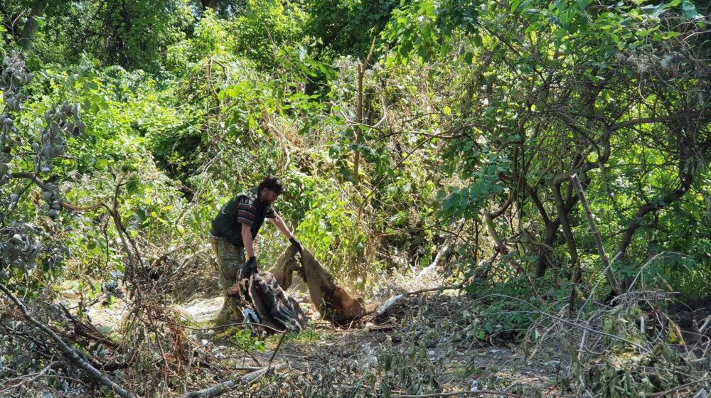 Ekološki front Novi Sad uputio zahtev za hitan inspekcijski nadzor zbog seče na Dunavcu i Šodrošu 1