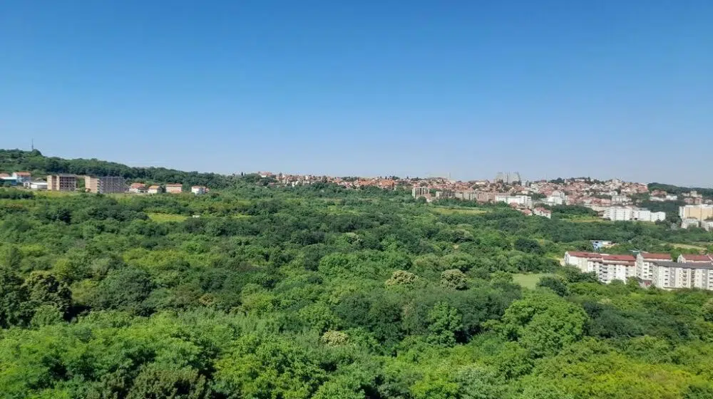 Veliki protest protiv planirane izgradnje novog naselja za 15.000 ljudi u Mirijevu: Urbanizacija Bajdine uništiće zeleni pojas i pokrenuće klizišta 1