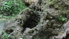 Vodopad Blederija kod Kladova, smaragd istočne Srbije u čijoj okolini raste 78 vrsta lekovitog bilja 5