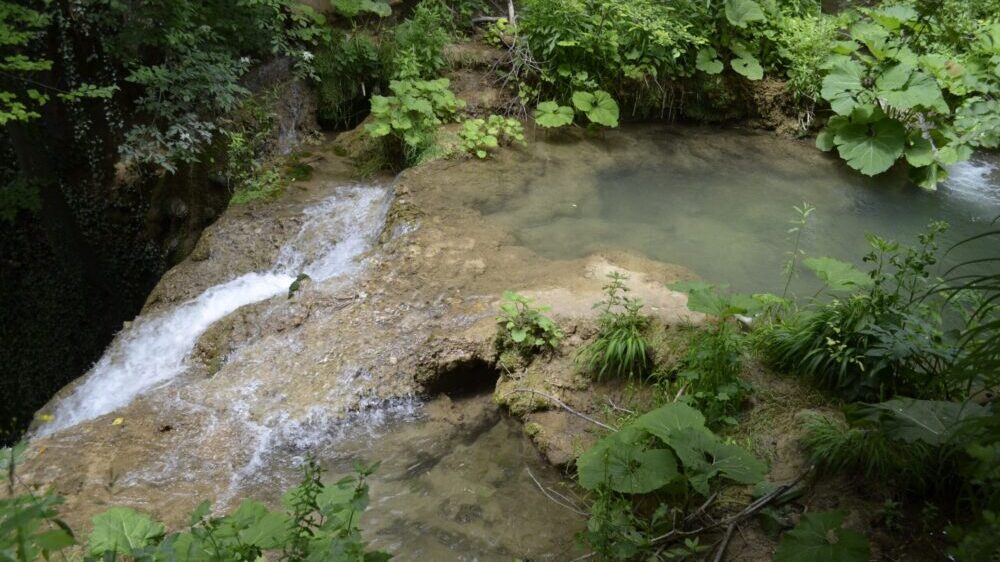 Vodopad Blederija kod Kladova, smaragd istočne Srbije u čijoj okolini raste 78 vrsta lekovitog bilja 2
