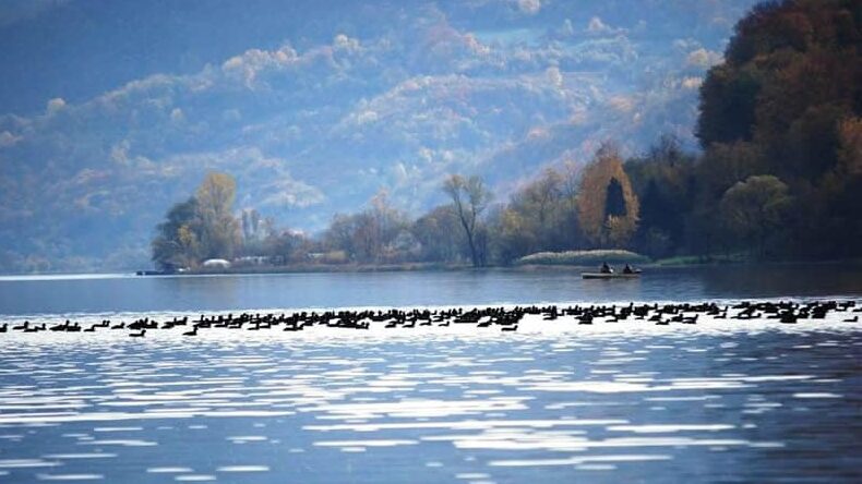 Šta su pokazale analize mrlje koja se širi po površini Zvorničkog jezera 1