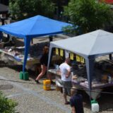 Otvoren Letnji salon knjiga na vranjskom šetalištu 13