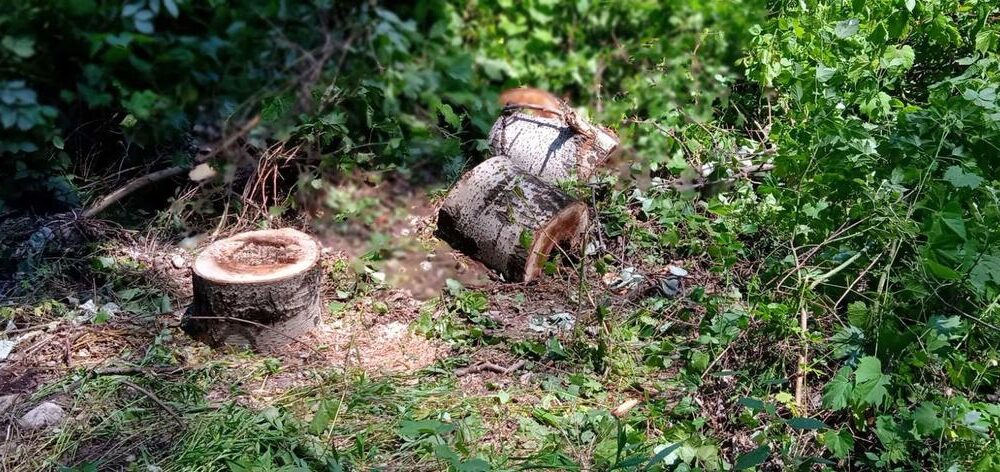 Građani okupljeni oko Šodroš survivor kampa na razgovorima u Vojvodina Šumama 1