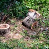 Građani okupljeni oko Šodroš survivor kampa na razgovorima u Vojvodina Šumama 15