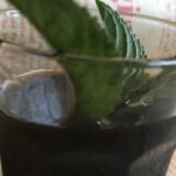 Liker od zelenih oraha (recept) 1