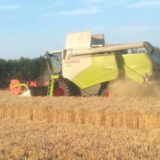 Savović: Izvoz viška pšenice, kukuruza i suncokreta otežavaju problemi sa logistikom 8