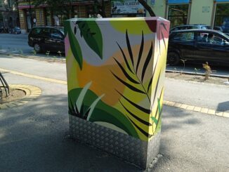 Oslikani kablovski ormarići u Subotici Od zapuštenosti do umetničkog dela: Subotički umetnici oslikali kablovske ormariće 11