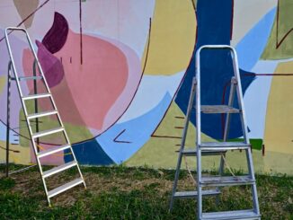 Subotičke umetnice naslikale mural koji prečišćava vazduh 5
