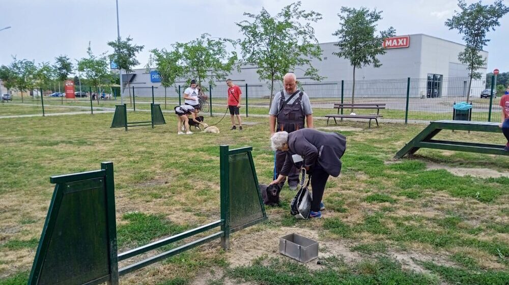 Kako da udomite psa iz subotičkog Prihvatilišta: Njih 280 čekaju svoj dom 1