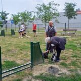 Kako da udomite psa iz subotičkog Prihvatilišta: Njih 280 čekaju svoj dom 6