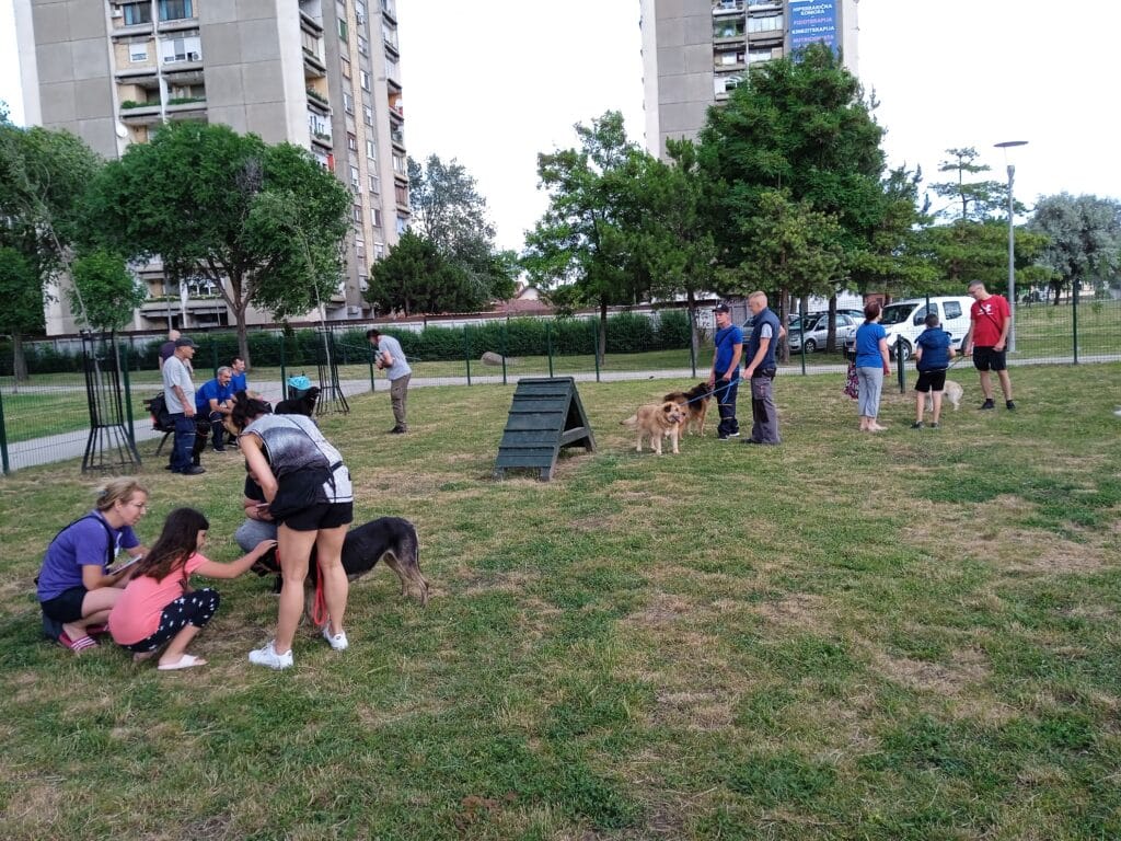 Kako da udomite psa iz subotičkog Prihvatilišta: Njih 280 čekaju svoj dom 3 Kako da udomite psa iz subotičkog Prihvatilišta: Njih 280 čekaju svoj dom 3