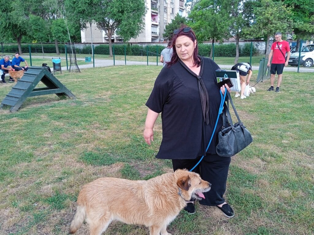 Kako da udomite psa iz subotičkog Prihvatilišta: Njih 280 čekaju svoj dom 2 Kako da udomite psa iz subotičkog Prihvatilišta: Njih 280 čekaju svoj dom 2