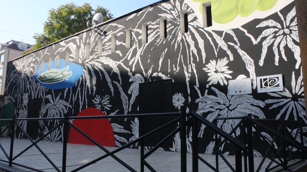 Svirka i izložba u bašti Kulturnog centra u Šapcu 1