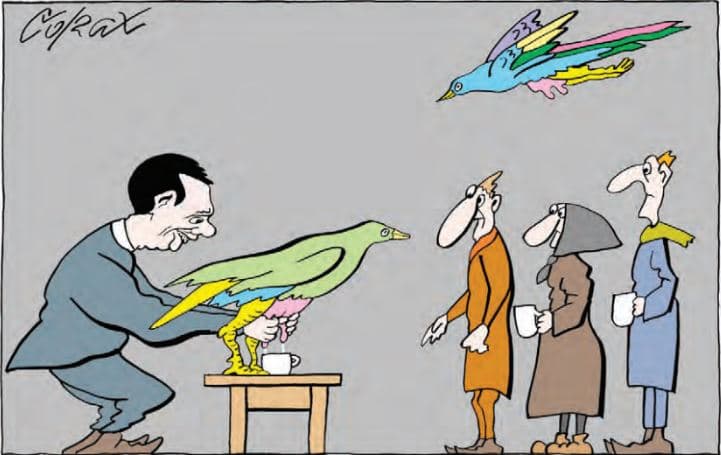 Corax 5