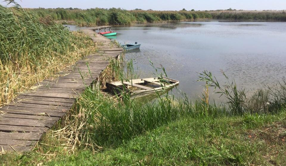 Trka oko tri jezera u Subotici: Poslastica za ljubitelje sporta i prirode 1