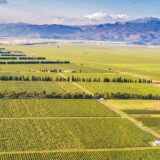 Opština Tuzi blokirala račun Plantaža, radnici prete blokadom puta do Tuza 4