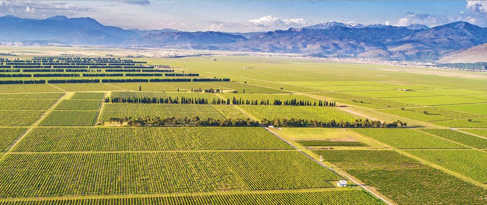 Opština Tuzi blokirala račun Plantaža, radnici prete blokadom puta do Tuza 1