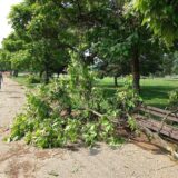 Javna preduzeća u Vranju saniraju štetu nakon olujnog nevremena 7