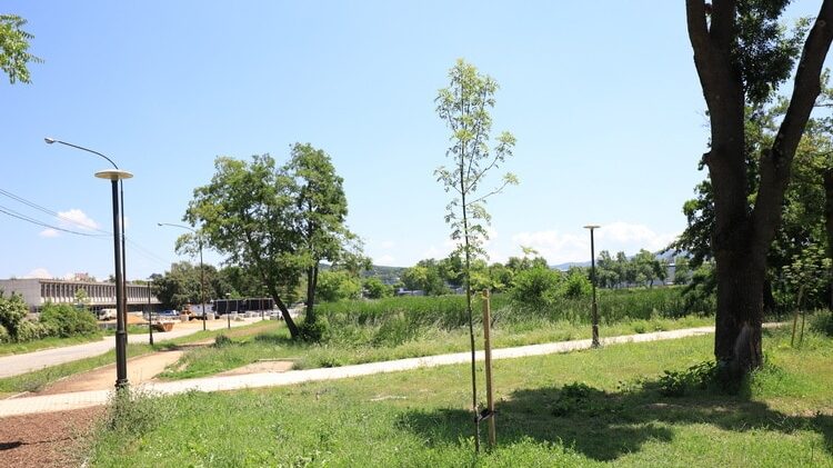 NS Kragujevac: Zelena inicijativa kao paravan za nerad i anarhiju 1