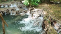 Vodopad Blederija kod Kladova, smaragd istočne Srbije u čijoj okolini raste 78 vrsta lekovitog bilja 6