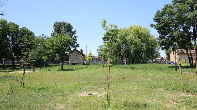 Kragujevac: Više nema gradnje bez sadnje 2