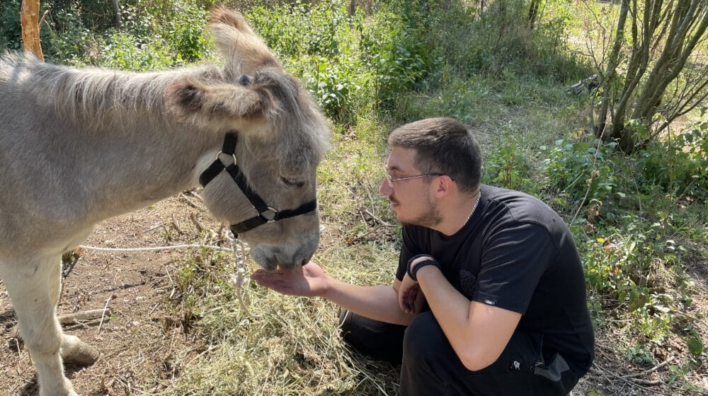 Zoo planet iz Niša zbrinuo lane, kornjaču, malu sovu i još divljih životinja 1