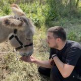 Zoo planet iz Niša zbrinuo lane, kornjaču, malu sovu i još divljih životinja 3