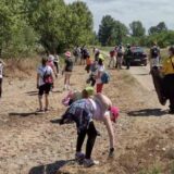 Udruženje “Divljina” ukazuje i opominje: Povedimo računa o Kladovskom peščaru da ne bude kasno 11