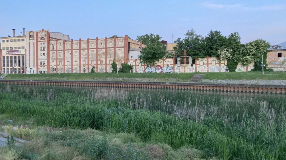 Za suzbijanje komaraca i krpelja Zrenjanin traži privatnog partnera 1