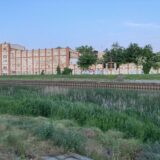 Za suzbijanje komaraca i krpelja Zrenjanin traži privatnog partnera 4